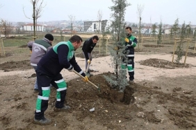 167-fidan-engelliler-icin-toprakla-bulustu.jpg