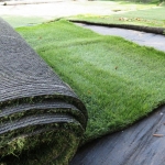 55 mm Sentetik Çim m2 Fiyatı