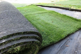 55 mm Sentetik Çim m2 Fiyatı