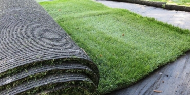 55 mm Sentetik Çim m2 Fiyatı