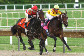 Horse_race_Arlington_International