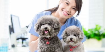 İzmir Veteriner (2)