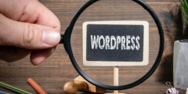 Wordpress Uzmanı (2)