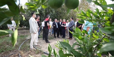 akdeniz-meyve-sinegi-ile-mucadelede-biyoteknik-yontemlerin-yayginlastirilmasi-projesi.jpg