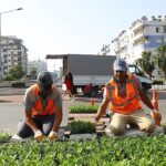antalya-yazlik-ciceklerle-rengarenk-olacak-GqPBDPmT.jpg
