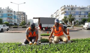 antalya-yazlik-ciceklerle-rengarenk-olacak-GqPBDPmT.jpg