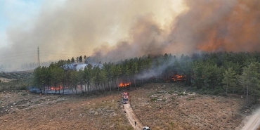 antalyada-4-farkli-noktada-orman-yangini-cikti.jpg