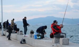 balik-avi-tutkunlari-aliagada-yaristi-BLQsXv69.jpg
