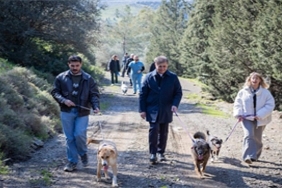 barinaklardan-3-binin-uzerinde-hayvan-sahiplendirildi.jpg
