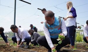 beylikduzu-belediyesi-tarafindan-hayata-gecirilen-ve-kent-tarimina-buyuk-katki-sunan-yasam-bahcesinde-yaz-UVR62BUn.jpg