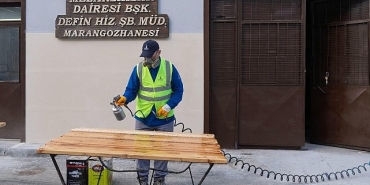 budanan-agaclar-geri-donusturuluyor.jpg