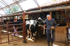 buyuksehir-belediyesinin-hayvan-ureticilerine-destegi-suruyor.jpg