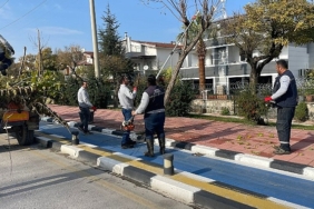 buyuksehir-kent-genelinde-budama-calismalarina-devam-ediyor.jpg