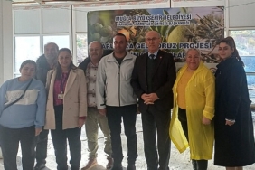 buyuksehirden-badem-biti-ve-zeytin-zararlilariyla-mucadele.jpg