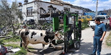 buyuksehirden-gundogmuslu-ureticilere-tirnak-bakim-destegi.jpg