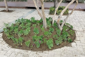 buyuksehirden-manisanin-yesil-alanlarina-peyzaj-duzenlemesi.jpg