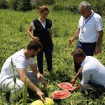 buyuksehirden-ureticilere-karpuz-tohumu-destegi-mbvVtDxc.jpg