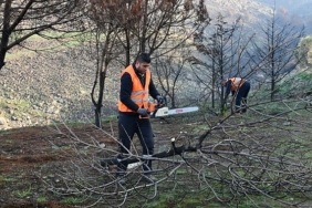 cigli-belediyesi-orman-yangininin-izlerini-silmek-icin-seferber-oldu.jpg