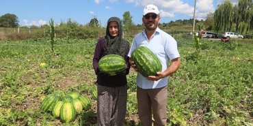 cografi-isaretli-kandira-karpuzunda-hasat-zamani.jpg