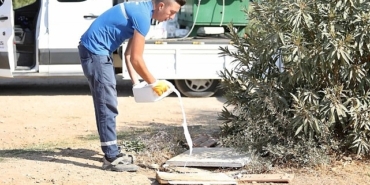 didimde-ilaclama-calismalari-araliksiz-devam-ediyor.jpg