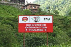 dogus-cay-ve-tema-vakfindan-saglikli-topraklar-ve-surdurulebilir-cay-tarimi-icin-ortak-adim.jpg