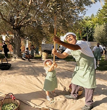 ela-excellence-resort-belek-olive-fest-ile-doganin-kalbinde-essiz-bir-deneyim-sundu.jpg