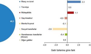 en-yuksek-gelir-grubunun-toplam-gelirden-aldigi-pay-498-oldu-NjENqu2h.jpg