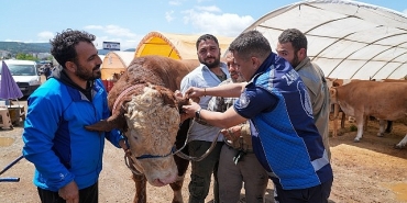 gaziemirde-kurban-satis-yerlerinde-siki-denetim.jpg