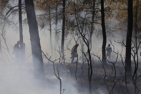 ibbden-bursadaki-orman-yanginina-acil-destek.jpg