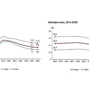 isgucu-istatistikleri-2025.jpg