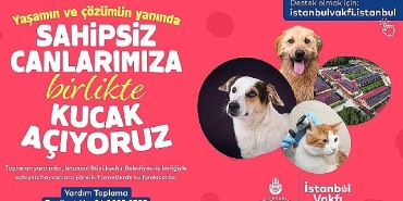 istanbul-vakfindan-sahipsiz-can-dostlarimiza-destek-cagrisi.jpg