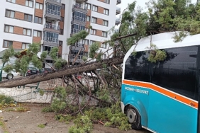 izmir-buyuksehir-belediyesi-850-personel-ve-640-aracla-sahada.jpg