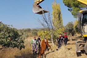 kemalpasa-ulucak-mahallesinde-su-kuyusuna-dusen-yilki-ati-ekiplerin-yogun-calismalari-sonucu-kurtarildi.jpg
