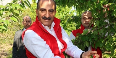 kiraz-ihracati-209-milyon-dolara-ulasti.jpg