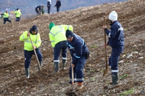 kocaelide-4-bin-agac-toprakla-bulusturuluyor.jpg