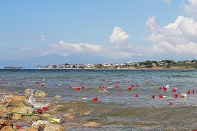 kovela-limaninda-duygu-dolu-toren.jpg