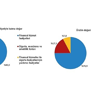 Mali Aracı Kuruluş İstatistikleri, 2025