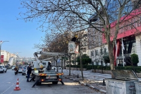 mimar-sinan-bulvarindaki-cinar-agaclarina-kis-bakimi-yapildi.jpg