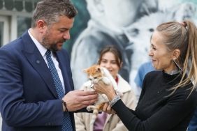 mucize-buca-belediyesi-veterinerleri-sayesinde-hayata-tutundu.jpg