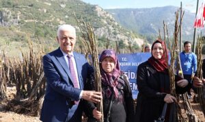 mugla-buyuksehir-belediyesi-53-bin-adet-meyve-fidani-dagitiyor-qcGjYn8R.jpg