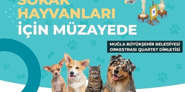 mugla-buyuksehir-belediyesi-tum-geliri-sokak-hayvanlari-yararina-kullanilacak-muzayede-duzenliyor.jpg