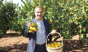 narenciye-sektoru-kktcde-gorulen-yesillenme-hastaliginin-turkiyeye-sicramamasi-icin-topyek-n-mucadele-istiyor-uYNKtent.jpg