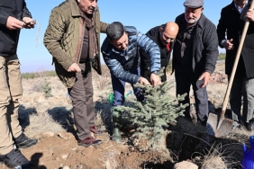 nevsehirde-yeni-dogan-ve-olen-kisiler-icin-fidan-dikildi.jpg