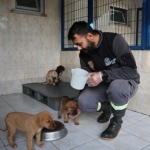niluferdeki-sahipsiz-canlar-sicak-yuvalarini-bekliyor.jpg