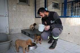 niluferdeki-sahipsiz-canlar-sicak-yuvalarini-bekliyor.jpg