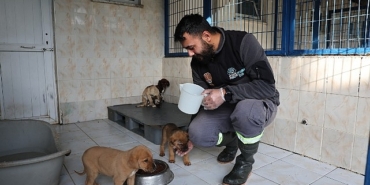 niluferdeki-sahipsiz-canlar-sicak-yuvalarini-bekliyor.jpg