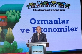 ormanlarin-ekonomik-gucune-dikkat-cekildi.jpg