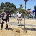 osmangazide-park-sayisi-691e-cikiyor.jpg