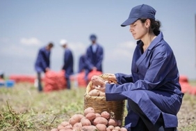 pepsico-turkiyeden-16-agustos-dunya-patates-gununde-yenileyici-tarimda-buyuk-basari-patates-uretiminin-%89u-yenileyici-tarim-uygulamalariyla-gerceklesiyor.jpg