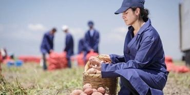 pepsico-turkiyeden-16-agustos-dunya-patates-gununde-yenileyici-tarimda-buyuk-basari-patates-uretiminin-%89u-yenileyici-tarim-uygulamalariyla-gerceklesiyor.jpg